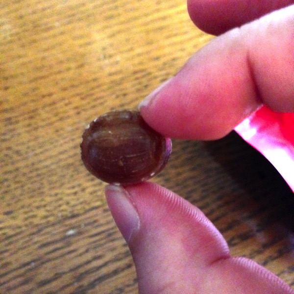 鼻・のど甜茶飴(したぷら撮影).jpg 鼻・のど甜茶飴