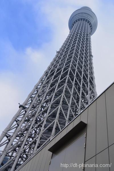 すみだ水族館(したぷら撮影).jpg すみだ水族館