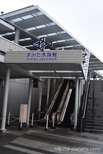 すみだ水族館(したぷら撮影).jpg すみだ水族館