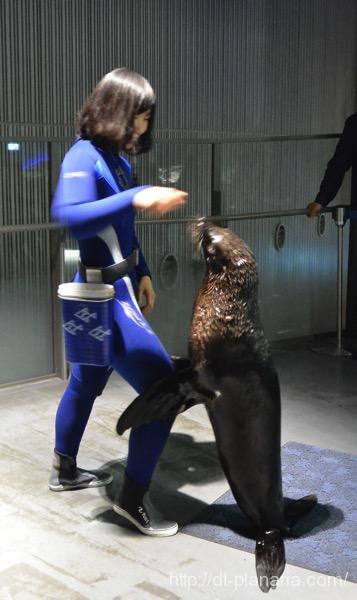 すみだ水族館(したぷら撮影).jpg すみだ水族館
