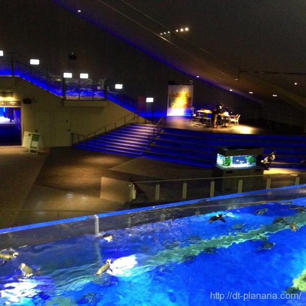 すみだ水族館(したぷら撮影).jpg すみだ水族館