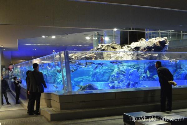 すみだ水族館(したぷら撮影).jpg すみだ水族館