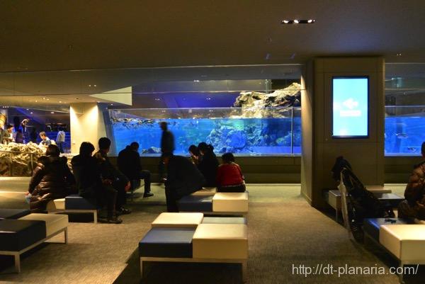すみだ水族館(したぷら撮影).jpg すみだ水族館
