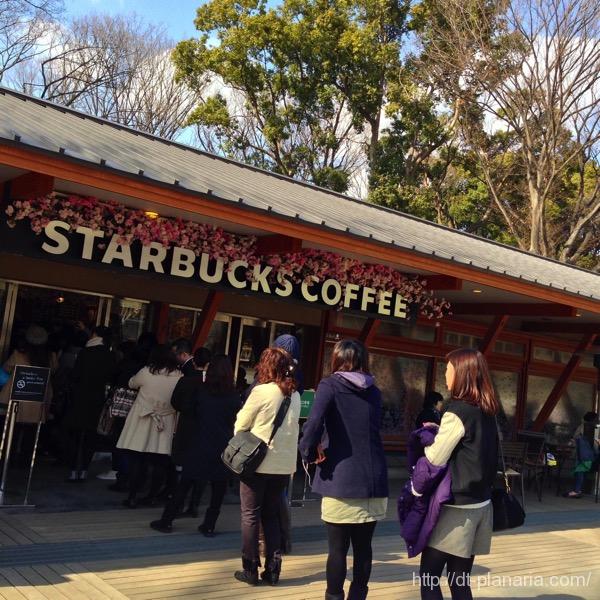スタバさくら(したぷら撮影).jpg スタバさくら