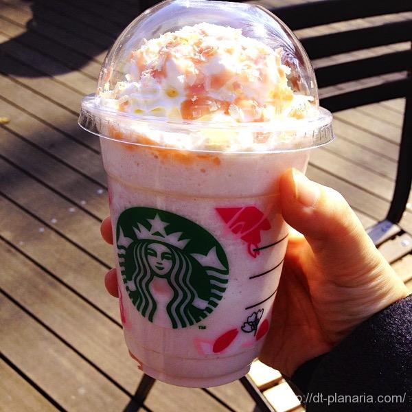 スタバさくら(したぷら撮影).JPG スタバさくら