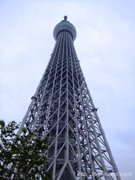 東京スカイツリー(したぷら撮影).jpg 東京スカイツリー