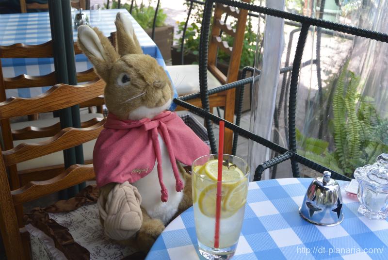 ピーターラビットガーデンカフェ.jpg ピーターラビットガーデンカフェ
